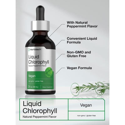 Horbaach Liquid Chlorophyll Drops â€“ Plant-Based Daily Wellness