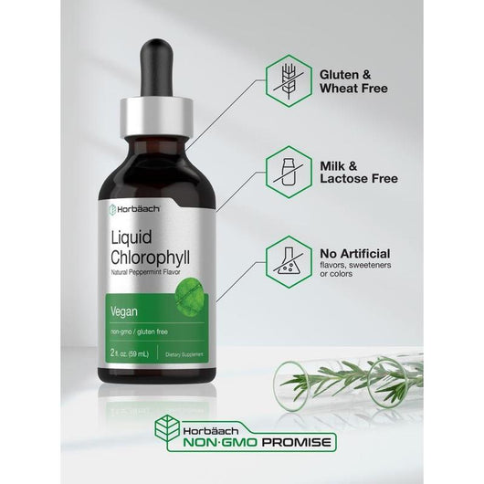 Horbaach Liquid Chlorophyll Drops â€“ Plant-Based Daily Wellness